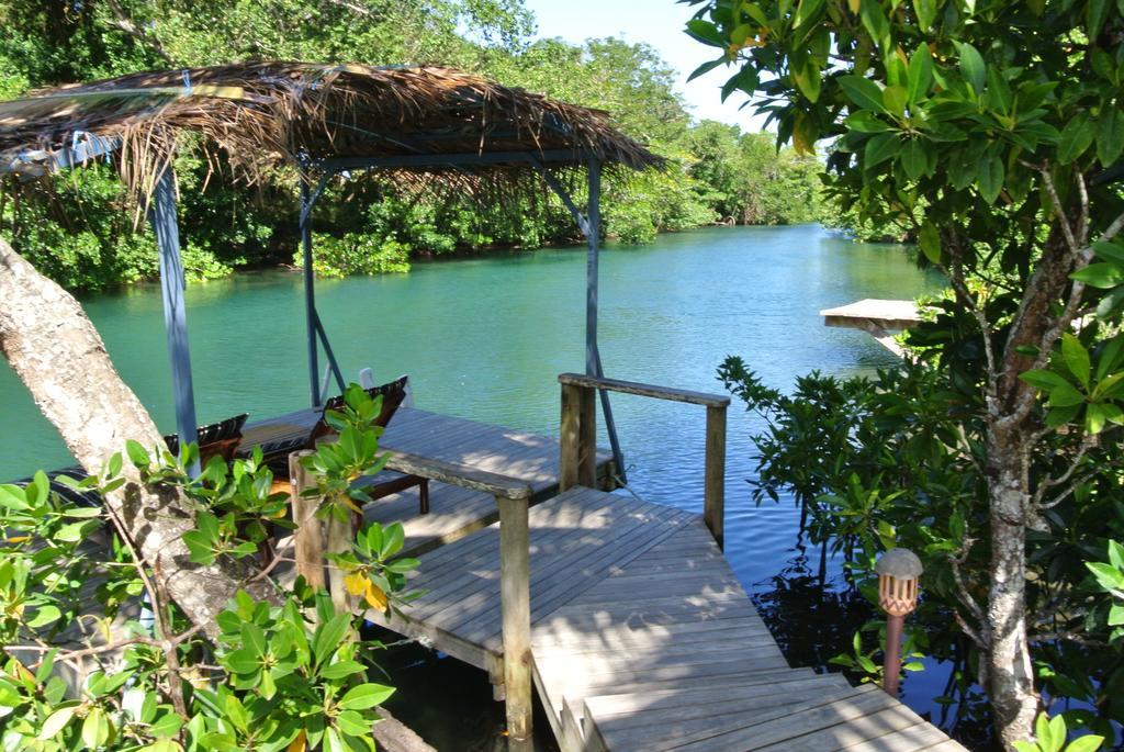 Salt Lake Lodge Savusavu Room photo